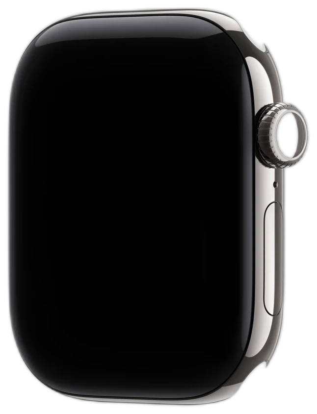 Apple Watch Hermès 42mm Titanium Silver