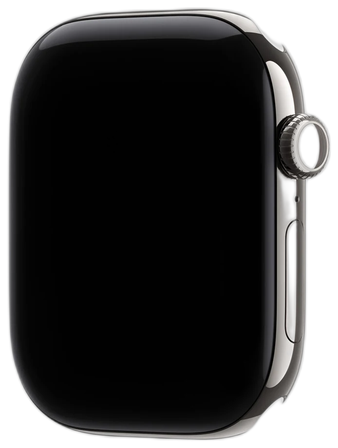 Apple Watch Hermès 46mm Titanium Silver